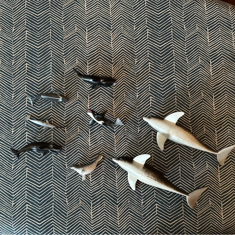 Set of 8 Ocean Critters 🤎 - Picture 2 of 4